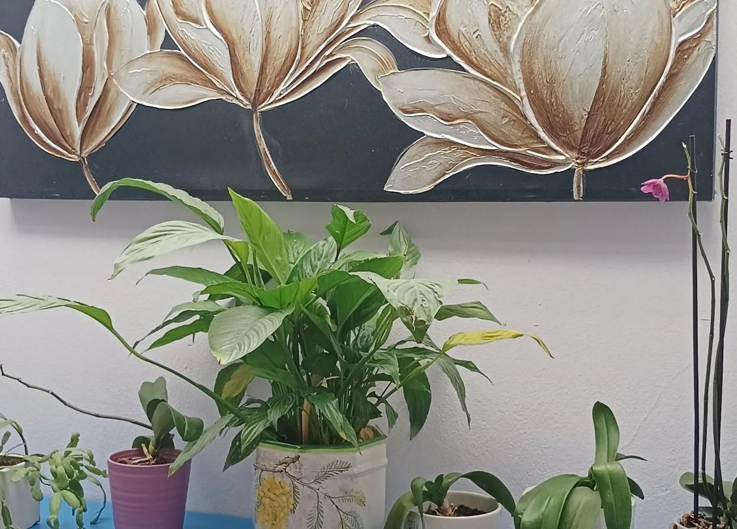 Appartamento Il Giardino Dei Semplici Semplici Bonate di Sopra Apartment